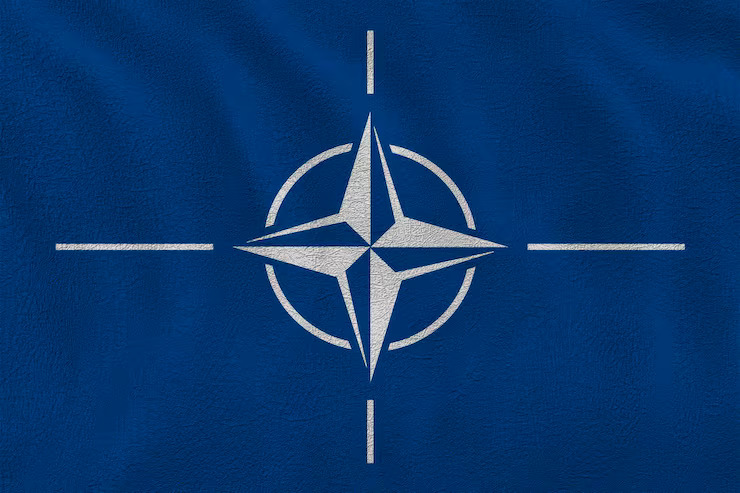 The Ankara summit: preserving allied unity in an era of structural rupture - European Leadership Network